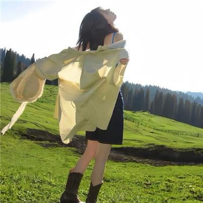 波士顿布莱奇中国历险记海报