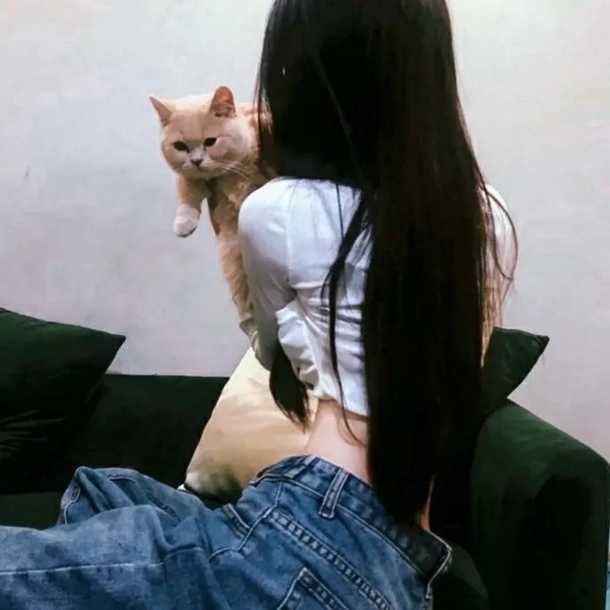 猫眼神探之红莲海报